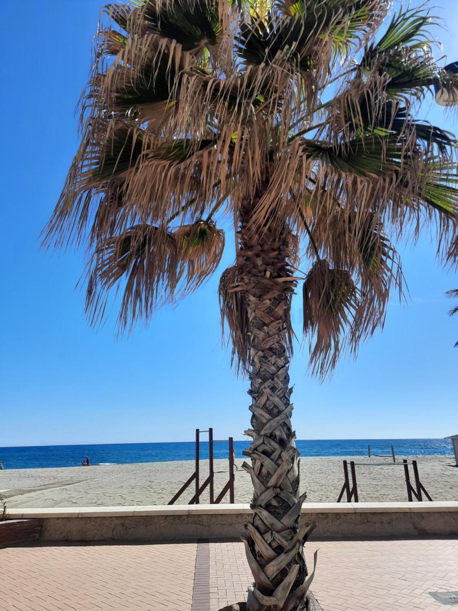 Fuengirola Apartment Carvajal Front Line Primera Linea المظهر الخارجي الصورة
